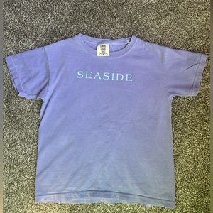 Purple comfort colors seaside shirt
